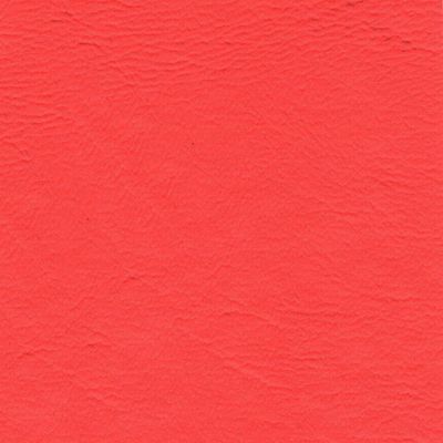 1.03.01.422683---CORAL-SEA---1